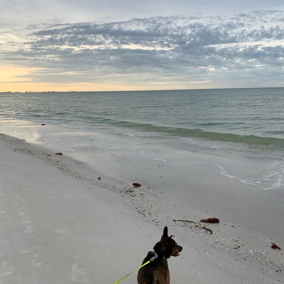 Meet your Posher, Jessica - Picture 2 of 2